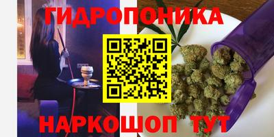 прущие крисы Берёзовский