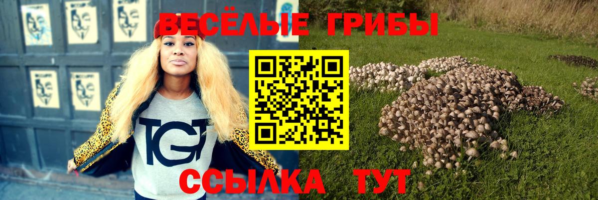 продажа наркотиков  Галлюциногенные грибы Cubensis  Вход с VPN  Зеленодольск 